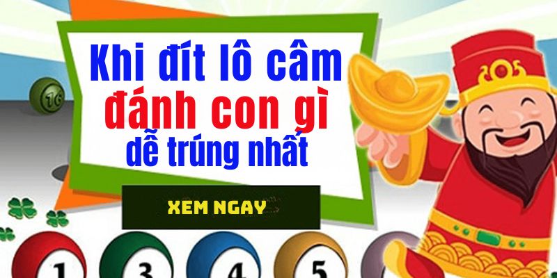 Soi cầu xổ số miền Bắc theo đuôi câm