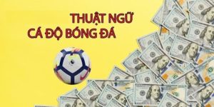 Thuật ngữ cá độ bóng đá là ám hiệu riêng biệt 